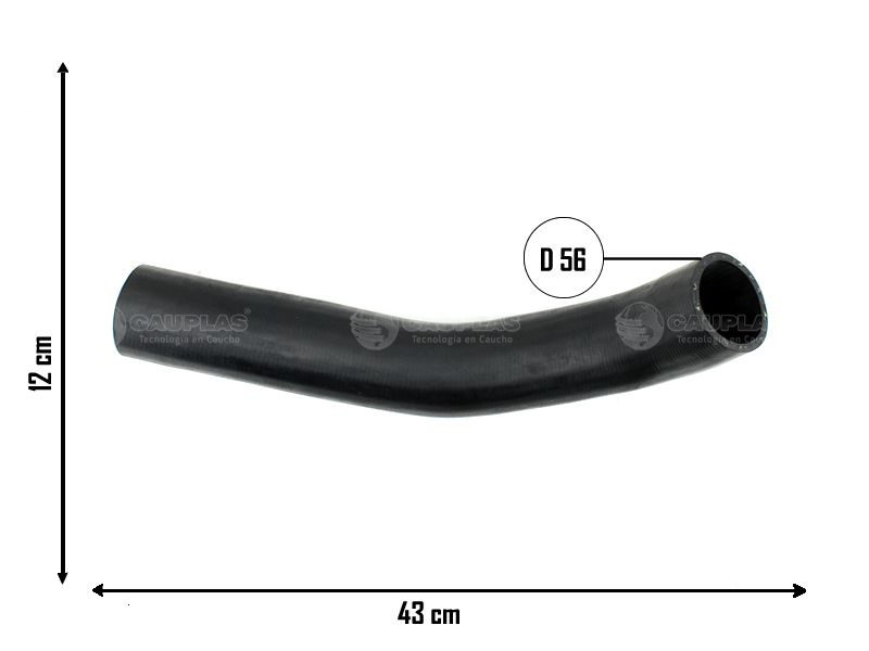 CAUPLAS MANGUERA RADIADOR SCANIA K