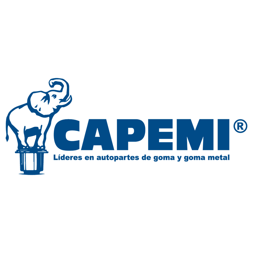 CAPEMI KIT BUJES FORD RANGER 12>