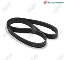 [5PK1747.0414] HUTCHINSON CORREA POLY V RENAULT CLIO KANGOO KIA CERATO HYUNDAI GETZ