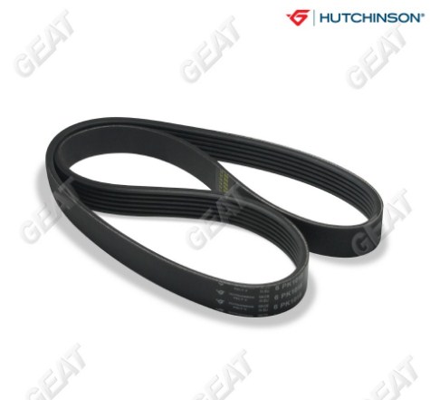 HUTCHINSON CORREA POLY V NISSAN FRONTIER ALFA 147 2.0 CHEVROLET PICK UP D20 2.5 TD MAXION 4.10T