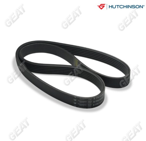 HUTCHINSON CORREA POLY V ISUZU 610 / CARGO CUMMINS